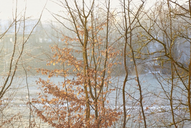Fall, Winter, Lichtspiele, Sonnenschein, Landschaft