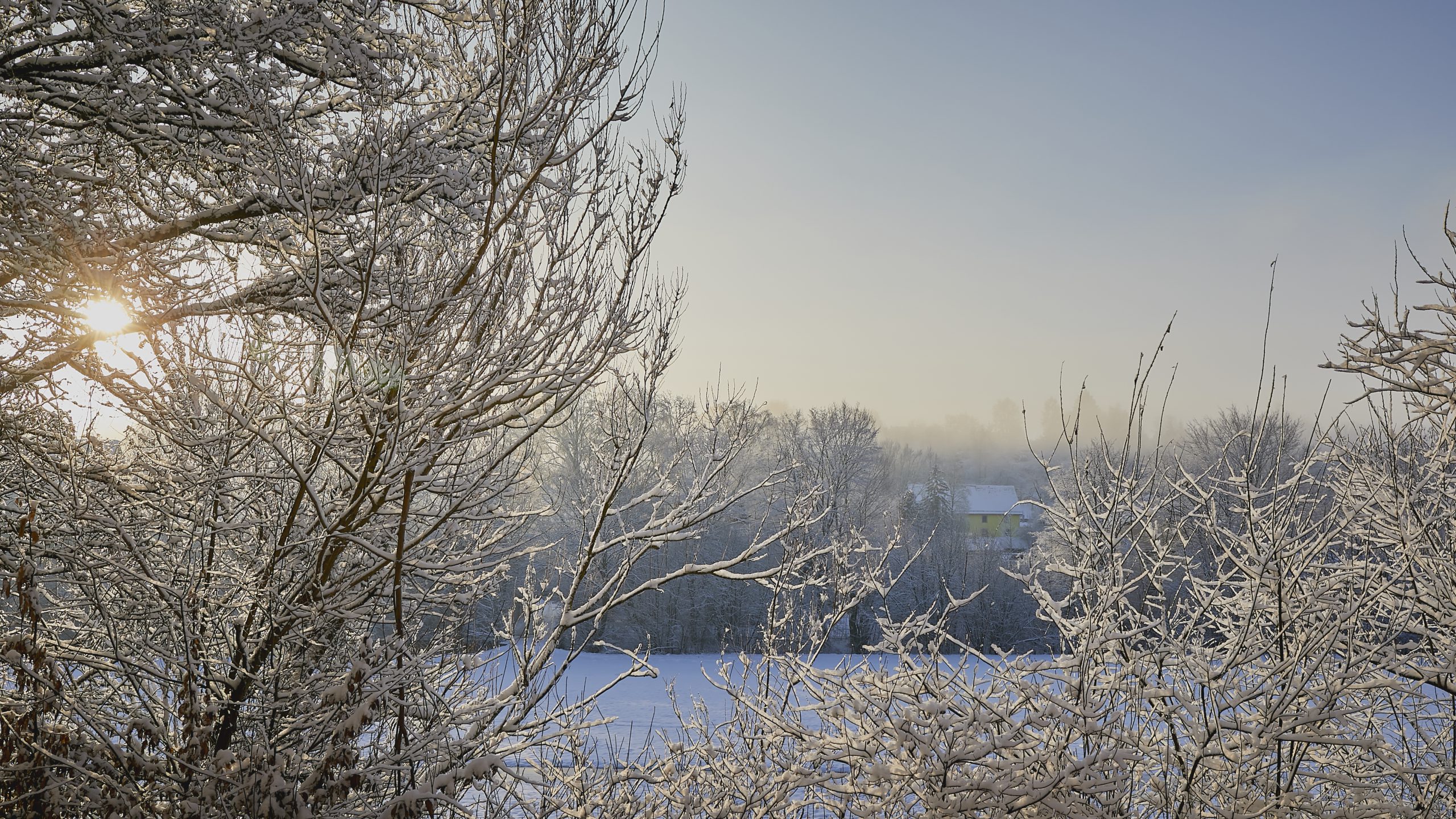 Schnee, Snow, Biberach, Trees, Sunlight, Landscape, Oberschwaben